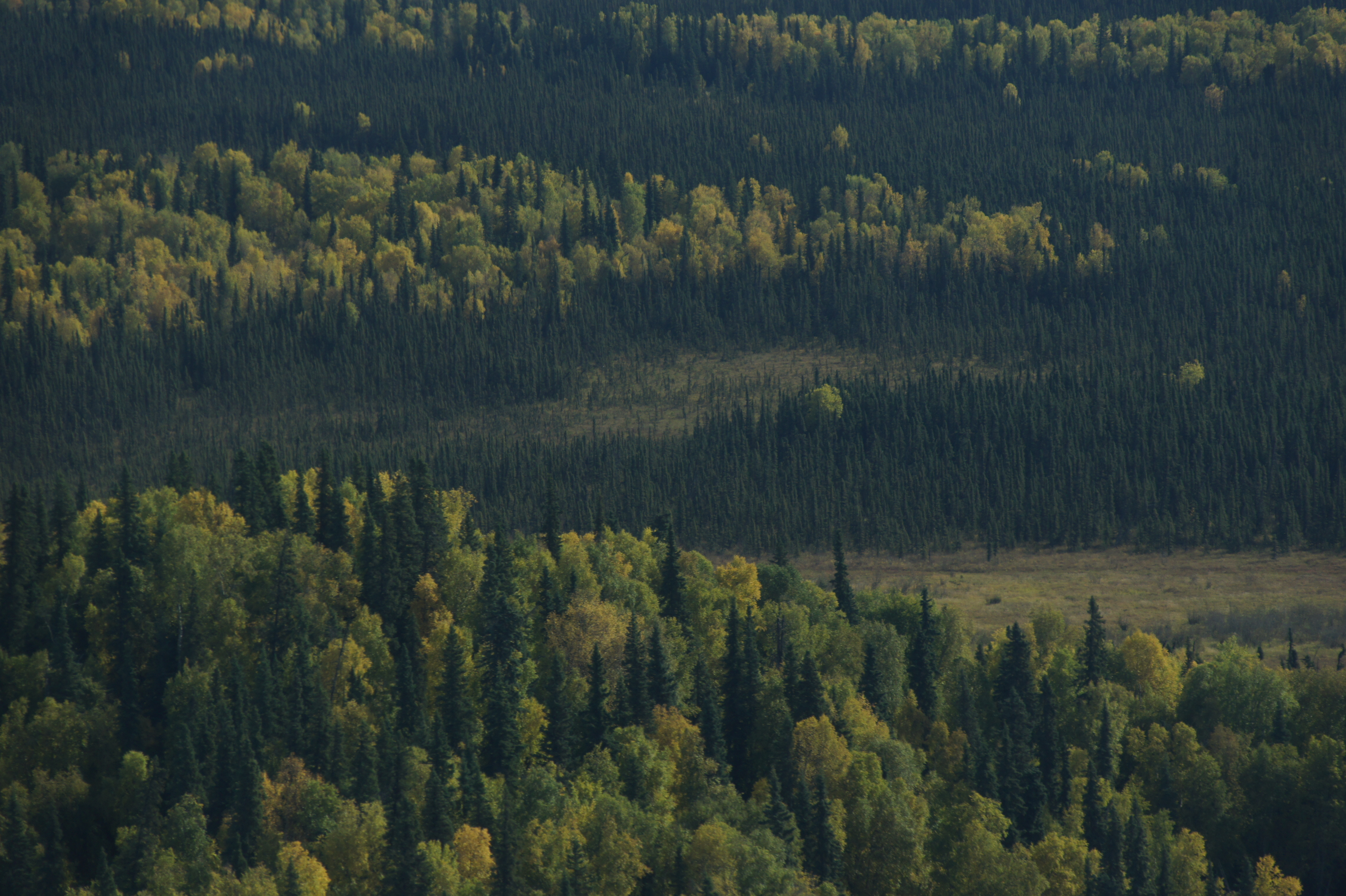 Click to return to the thumbnail index